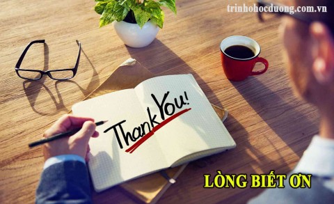 Hãy trở thành nhà cung cấp dịch vụ của NukeViet!